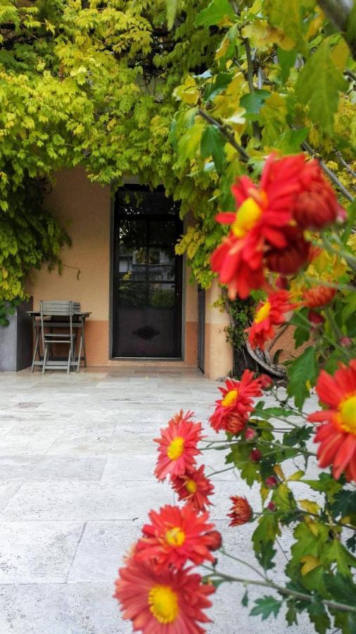 Chambres D'Hotes La Chrysalide Loriol-du-Comtat Exteriér fotografie
