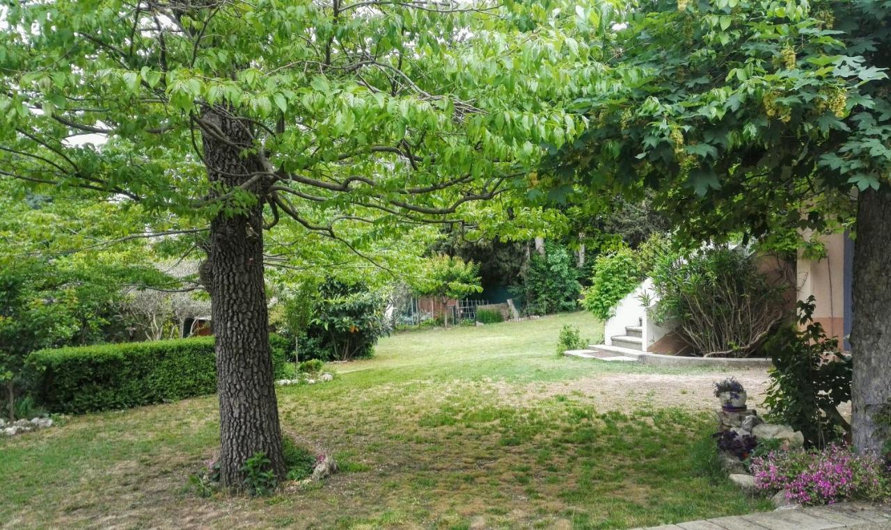 Chambres D'Hotes La Chrysalide Loriol-du-Comtat Exteriér fotografie